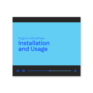 Plugins in WordPress: Installation and Usage